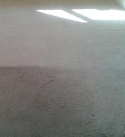 carpet cleaning 2s