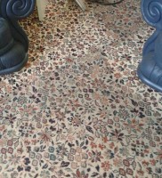 carpet cleaning 4s